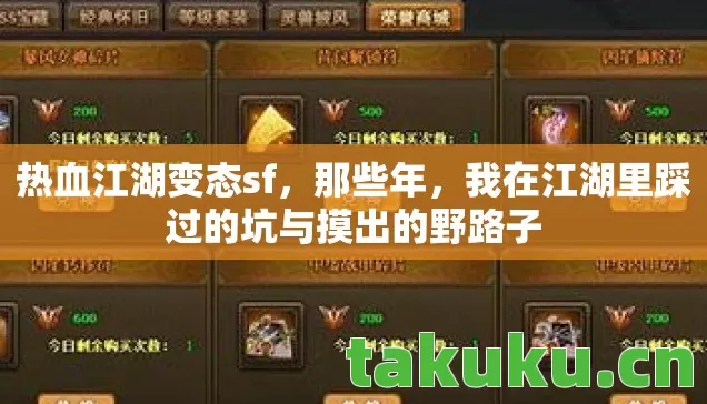 我在江湖里踩过的坑与摸出的野路子图片