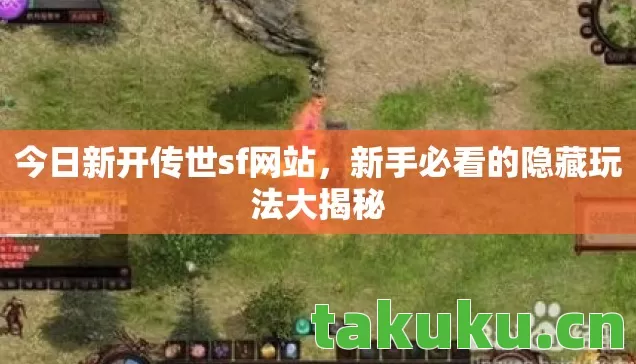 新手必看的隐藏玩法大揭秘图片