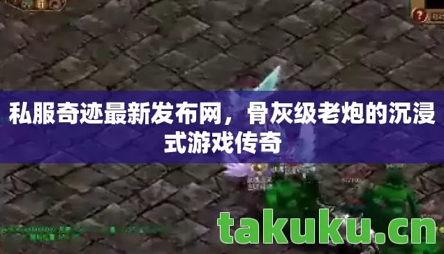 骨灰级老炮的沉浸式游戏传奇图片