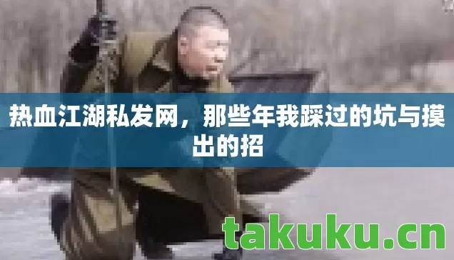那些年我踩过的坑与摸出的招图片