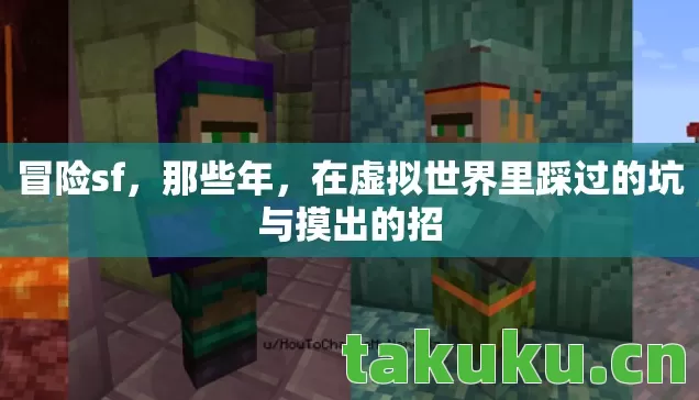 在虚拟世界里踩过的坑与摸出的招图片