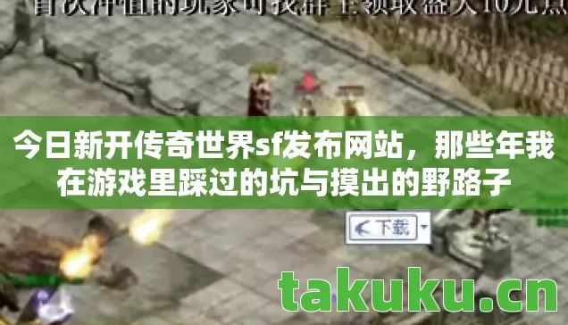 那些年我在游戏里踩过的坑与摸出的野路子图片