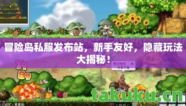 冒险岛私服发布站图片