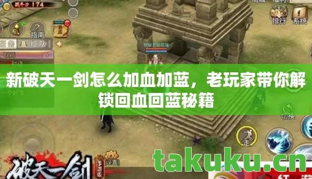 老玩家带你解锁回血回蓝秘籍图片