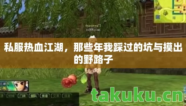那些年我踩过的坑与摸出的野路子图片