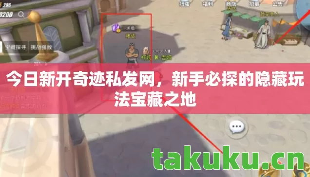 今日新开奇迹私发网，新手必探的隐藏玩法宝藏之地