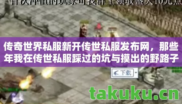 那些年我在传世私服踩过的坑与摸出的野路子图片