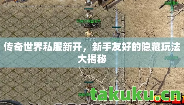 新手友好的隐藏玩法大揭秘图片