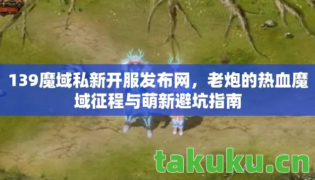 老炮的热血魔域征程与萌新避坑指南图片