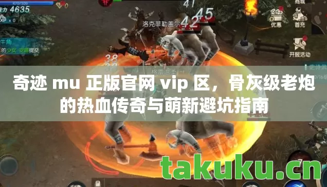 骨灰级老炮的热血传奇与萌新避坑指南图片