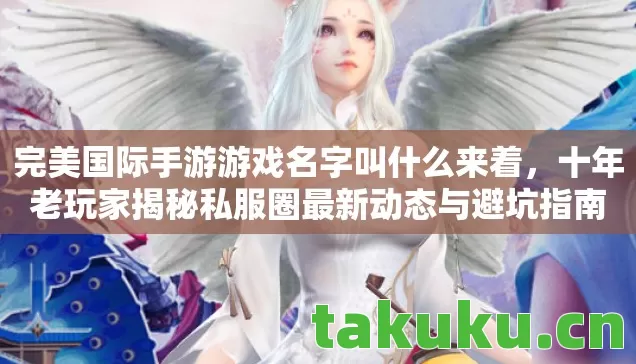 十年老玩家揭秘私服圈最新动态与避坑指南图片
