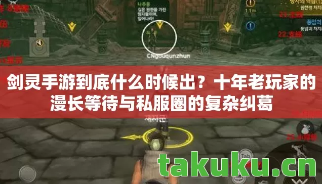 十年老玩家的漫长等待与私服圈的复杂纠葛图片