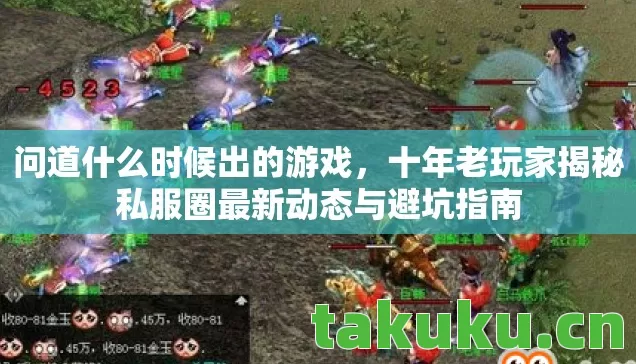 十年老玩家揭秘私服圈最新动态与避坑指南图片