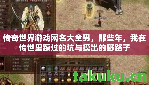 我在传世里踩过的坑与摸出的野路子图片