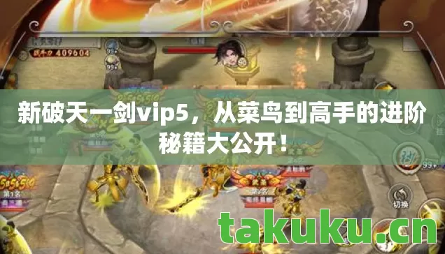 从菜鸟到高手的进阶秘籍大公开图片