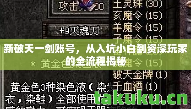 从入坑小白到资深玩家的全流程揭秘图片