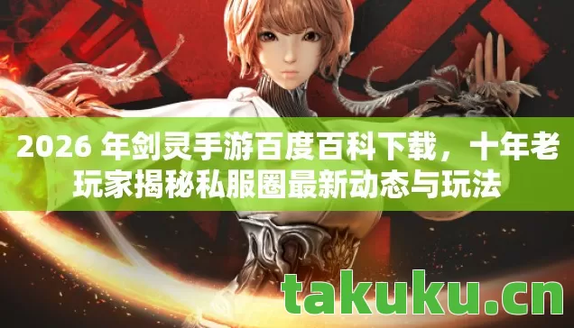 十年老玩家揭秘私服圈最新动态与玩法图片