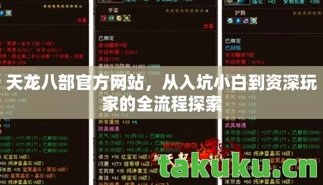 从入坑小白到资深玩家的全流程探索图片
