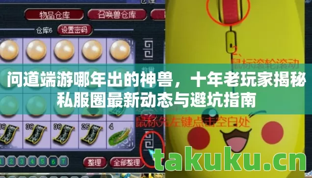 十年老玩家揭秘私服圈最新动态与避坑指南图片