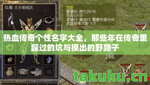 那些年在传奇里踩过的坑与摸出的野路子图片