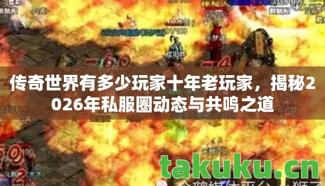揭秘2026年私服圈动态与共鸣之道图片