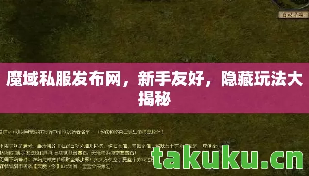 魔域私服发布网图片