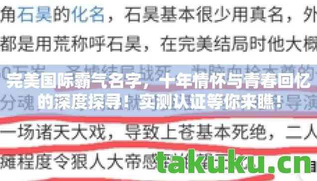 十年情怀与青春回忆的深度探寻图片