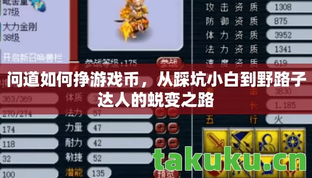 从踩坑小白到野路子达人的蜕变之路图片