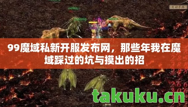 那些年我在魔域踩过的坑与摸出的招图片