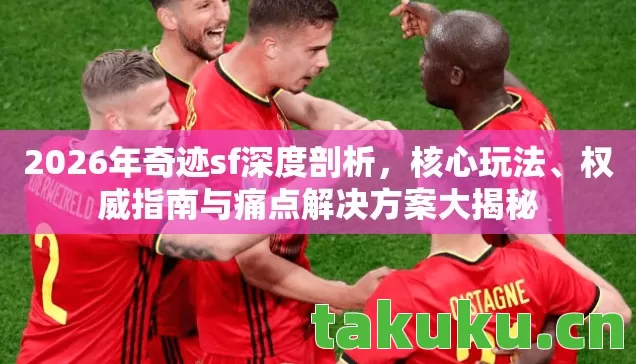 权威指南与痛点解决方案大揭秘图片