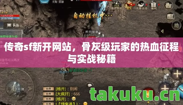 骨灰级玩家的热血征程与实战秘籍图片
