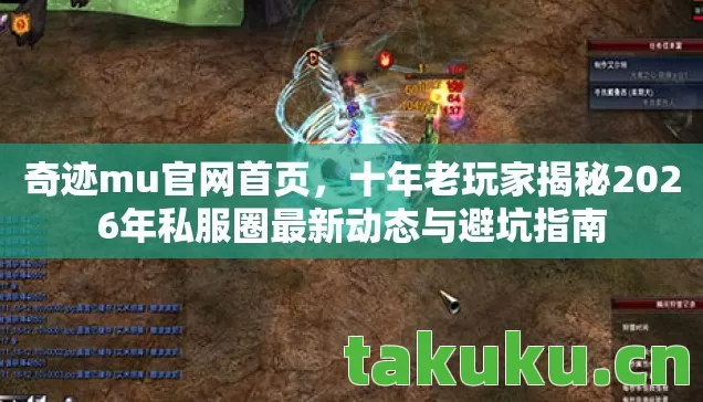 十年老玩家揭秘2026年私服圈最新动态与避坑指南图片