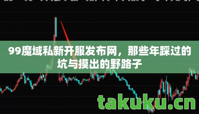 那些年踩过的坑与摸出的野路子图片
