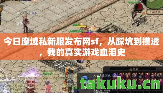 今日魔域私新服发布网sf图片