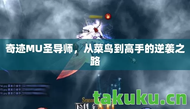 从菜鸟到高手的逆袭之路图片
