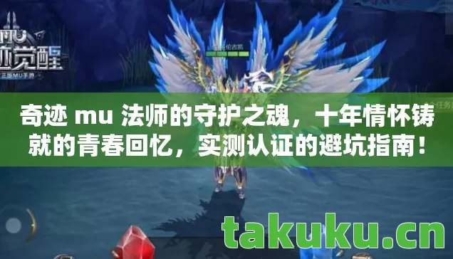 奇迹 mu 法师的守护之魂图片