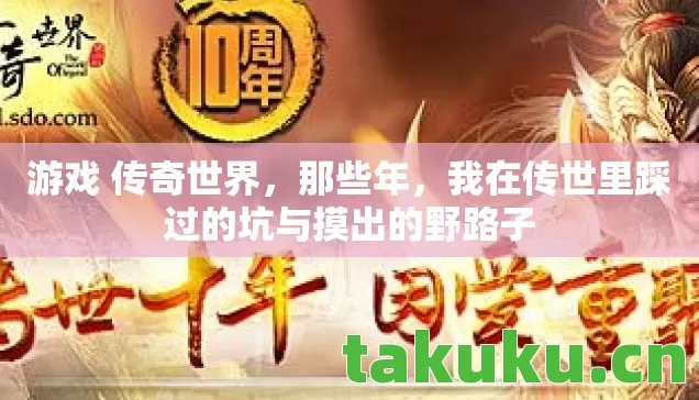我在传世里踩过的坑与摸出的野路子图片