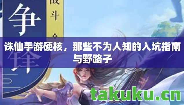 那些不为人知的入坑指南与野路子图片