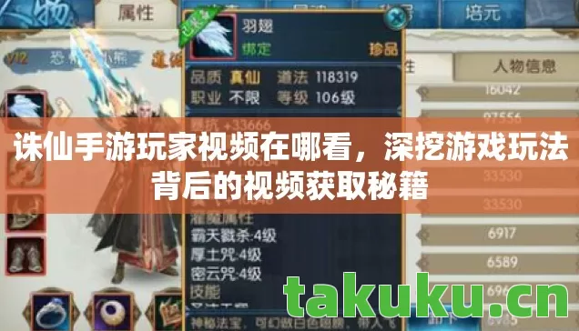 深挖游戏玩法背后的视频获取秘籍图片