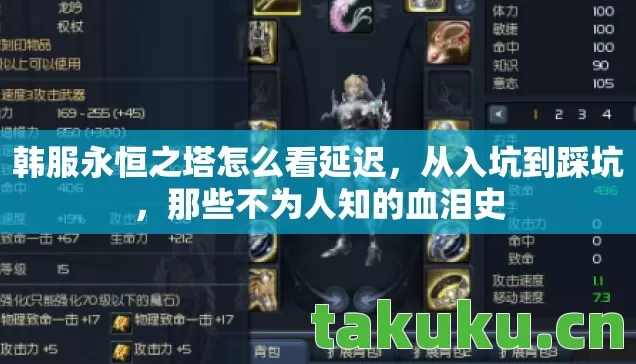 韩服永恒之塔怎么看延迟图片