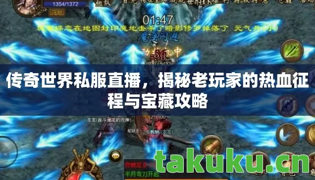 揭秘老玩家的热血征程与宝藏攻略图片