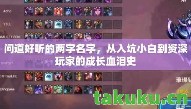 从入坑小白到资深玩家的成长血泪史图片