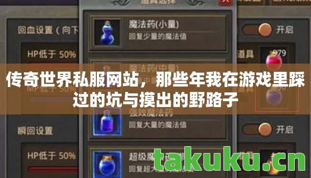那些年我在游戏里踩过的坑与摸出的野路子图片
