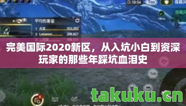 从入坑小白到资深玩家的那些年踩坑血泪史图片