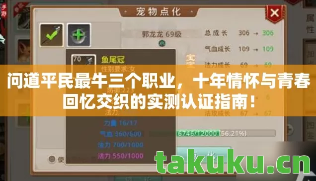 十年情怀与青春回忆交织的实测认证指南图片