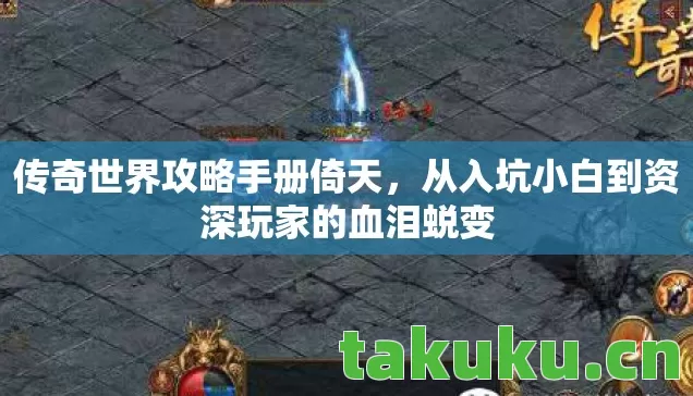 从入坑小白到资深玩家的血泪蜕变图片