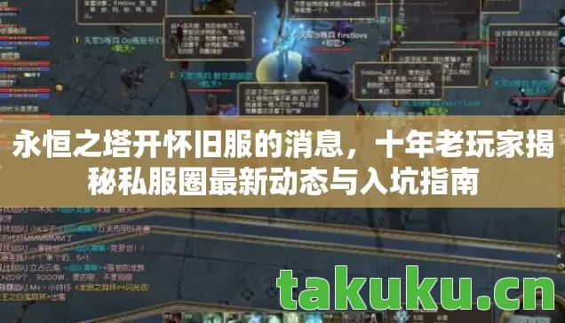 十年老玩家揭秘私服圈最新动态与入坑指南图片