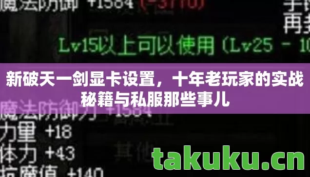 十年老玩家的实战秘籍与私服那些事儿图片