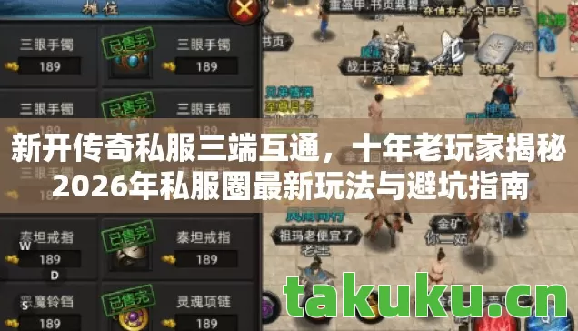 十年老玩家揭秘2026年私服圈最新玩法与避坑指南图片