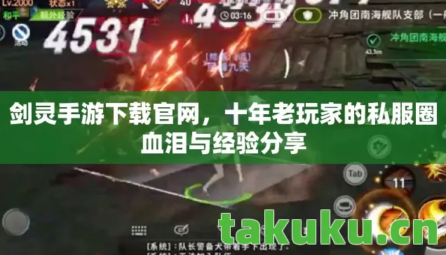 十年老玩家的私服圈血泪与经验分享图片